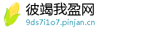 彼竭我盈网